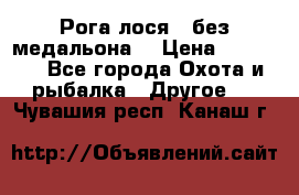 Рога лося , без медальона. › Цена ­ 15 000 - Все города Охота и рыбалка » Другое   . Чувашия респ.,Канаш г.